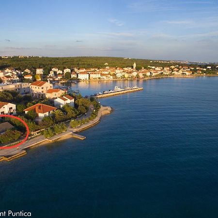 Apartment Puntica Petrčane Zewnętrze zdjęcie